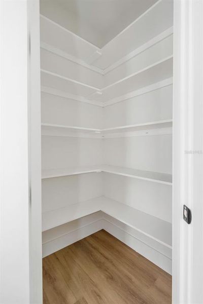 Spacious, unfurnished interior of a new home in , Tampa (Image 43).