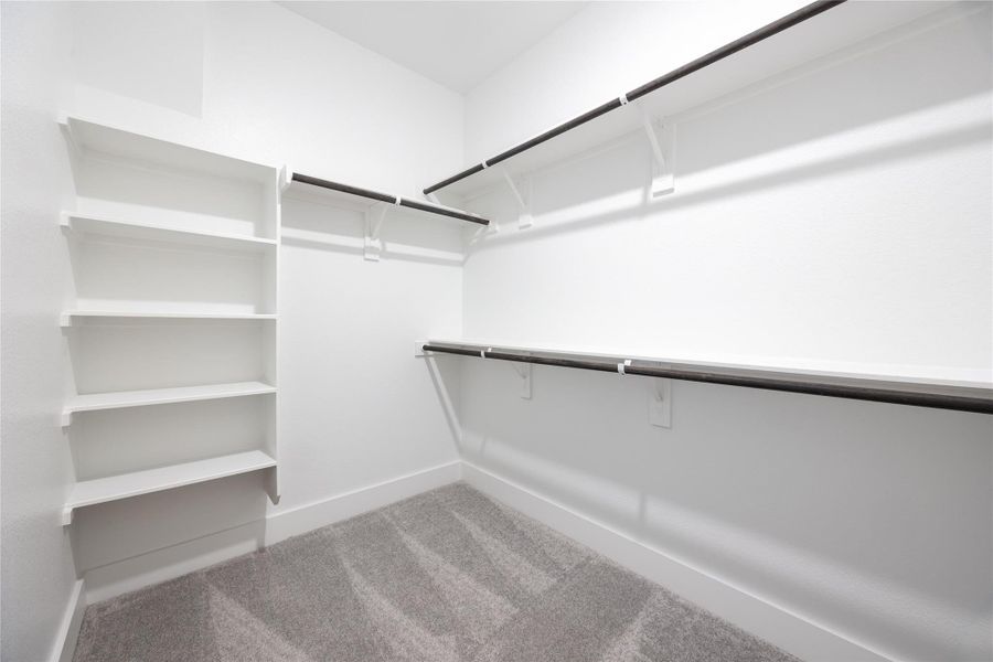 Spacious, unfurnished interior of a new home in Ryegrass Collection – Freedom at Anthem, Kyle (Image 12).