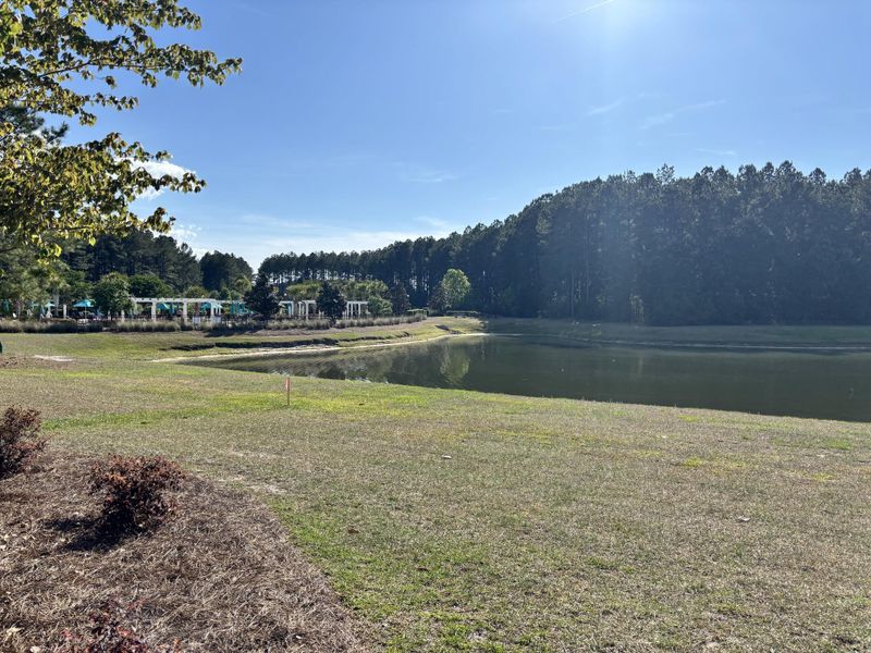 Natural landscape and outdoor views near  in Summerville (Image 7).