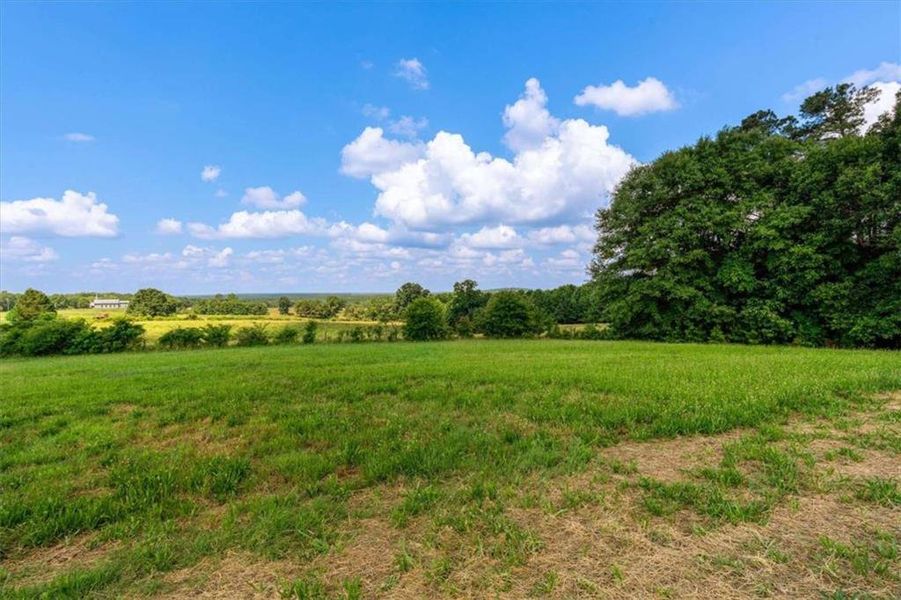 Natural landscape and outdoor views near  in Roopville (Image 57).
