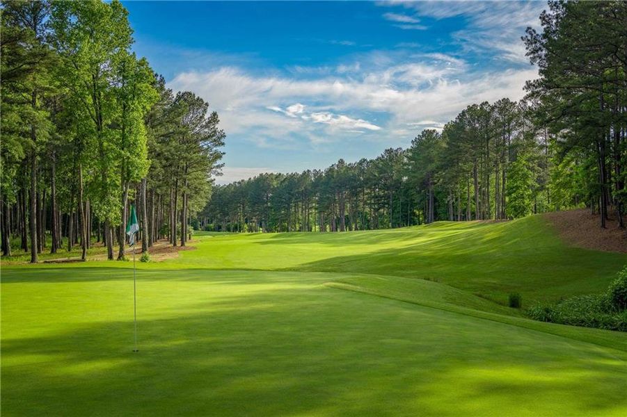 Natural landscape and outdoor views near in Villa Rica (Image 31). Natural landscape and outdoor views near in Villa Rica (Image 31).