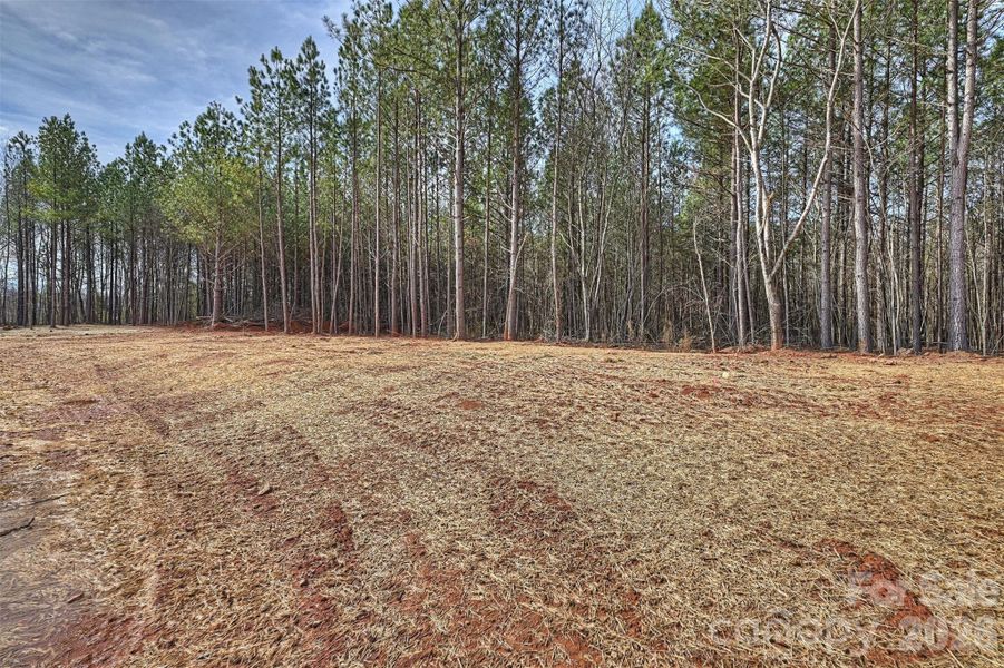 Site preparation for new homesites in , Lincolnton (Image 36).
