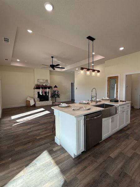 Stainless steel Farmsink with appliance package features with stainless dishwasher over looking the living room.