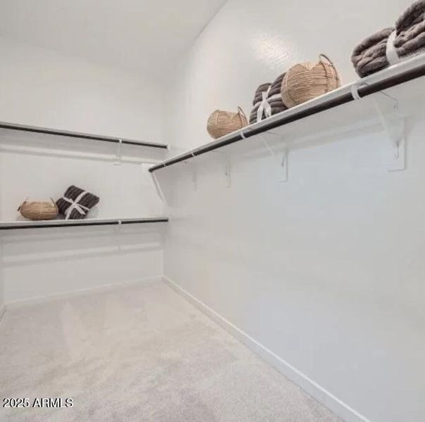 Owners Walk in Closet