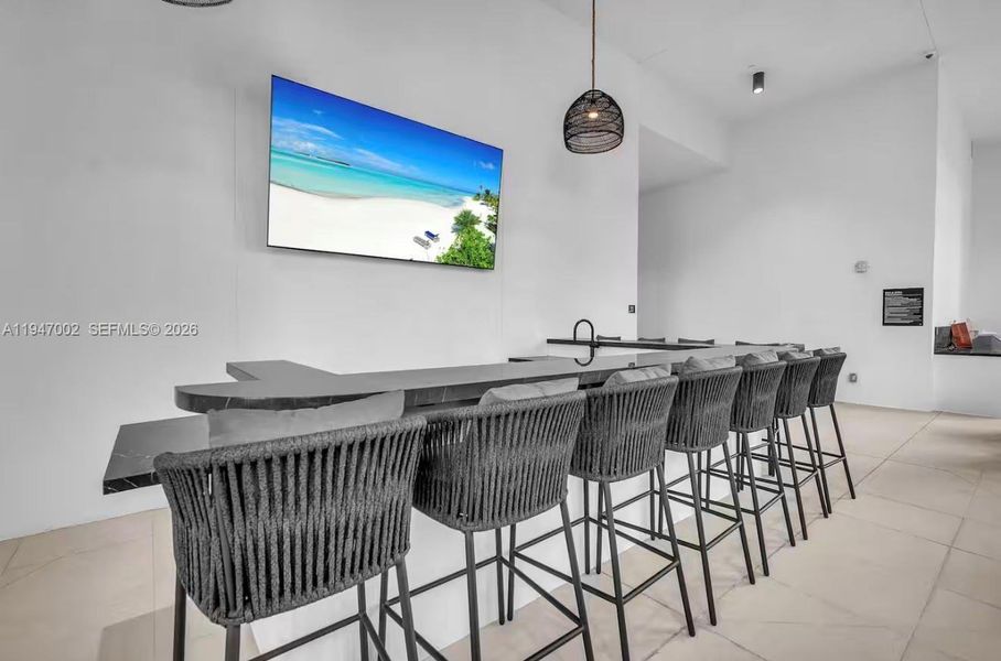 Bar Lower Level and Barbecue area