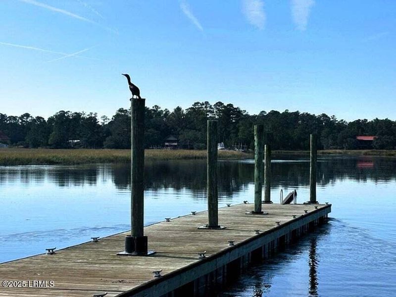 Natural landscape and outdoor views near Rivers Reach in Yemassee (Image 37).