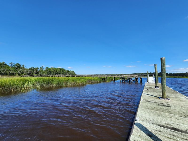 Natural landscape and outdoor views near Rivers Reach in Yemassee (Image 15).