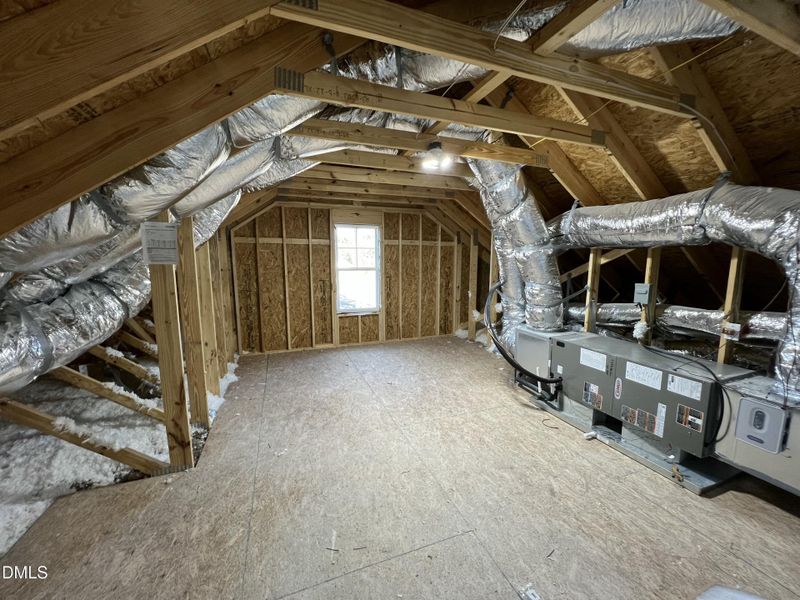 IMG_7151 2 IMG_7151 2