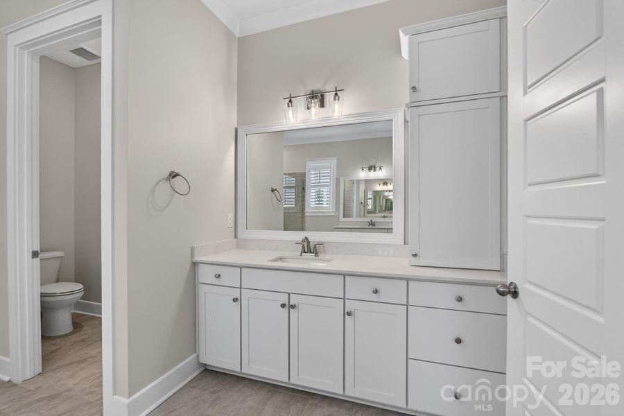 Primary Bathroom Vanity