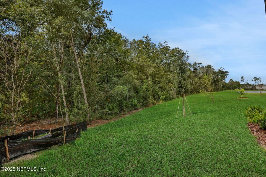 Natural landscape and outdoor views near TrailMark in St. Augustine (Image 38). Natural landscape and outdoor views near TrailMark in St. Augustine (Image 38).