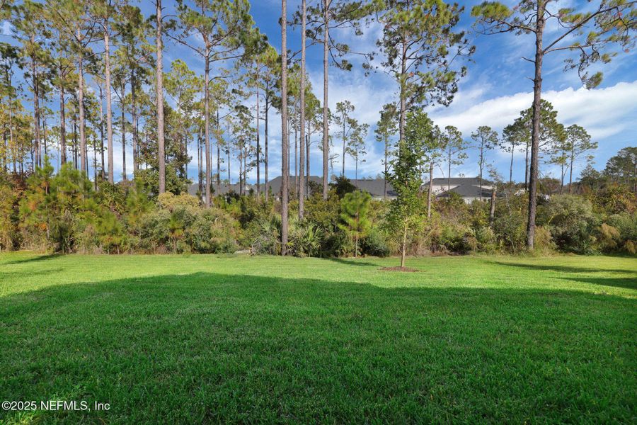 Exterior details and patio area of a home in Crosswinds at Nocatee, Ponte Vedra (Image 31).