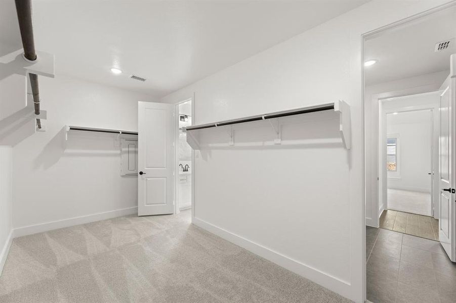 Inspiration Collection 60 at Painted Tree