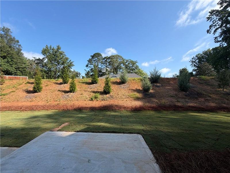 Natural landscape and outdoor views near  in Dawsonville (Image 44).