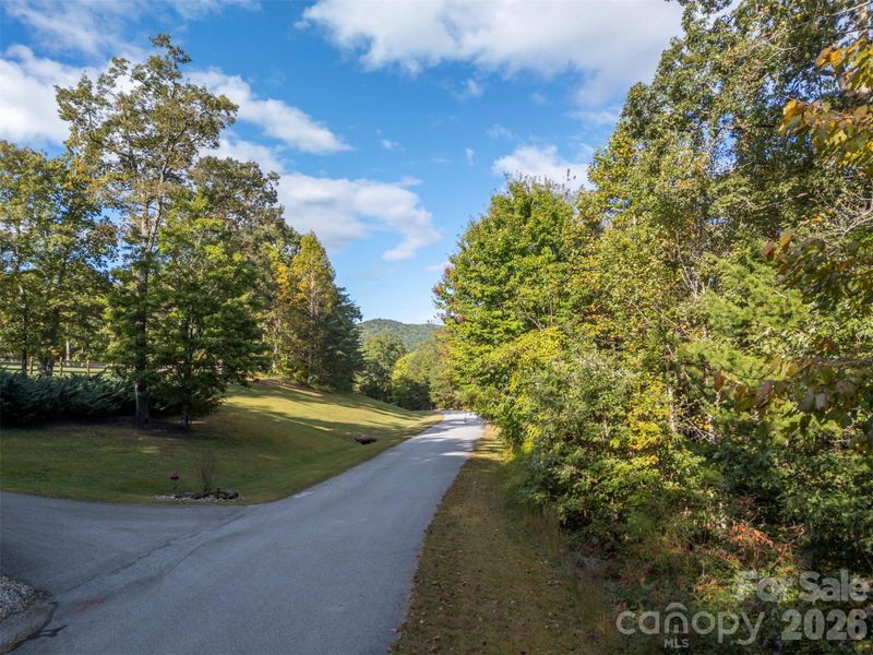 Natural landscape and outdoor views near  in Landrum (Image 12).