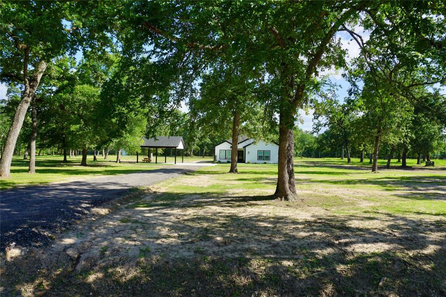 Natural landscape and outdoor views near  in Hempstead (Image 31).
