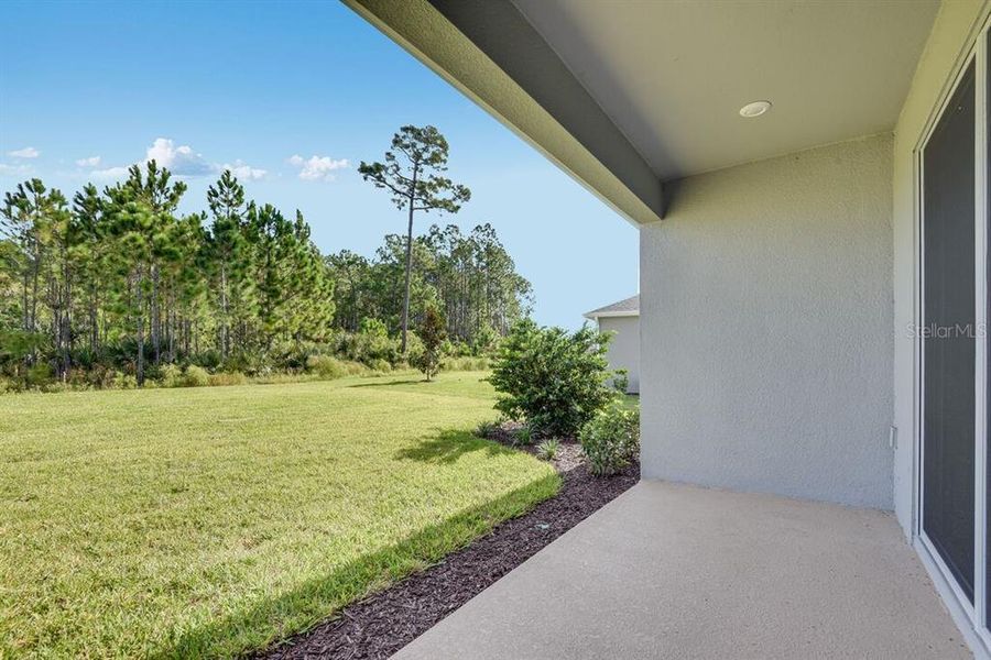 Exterior details and patio area of a home in Ardisia Park, New Smyrna Beach (Image 26).