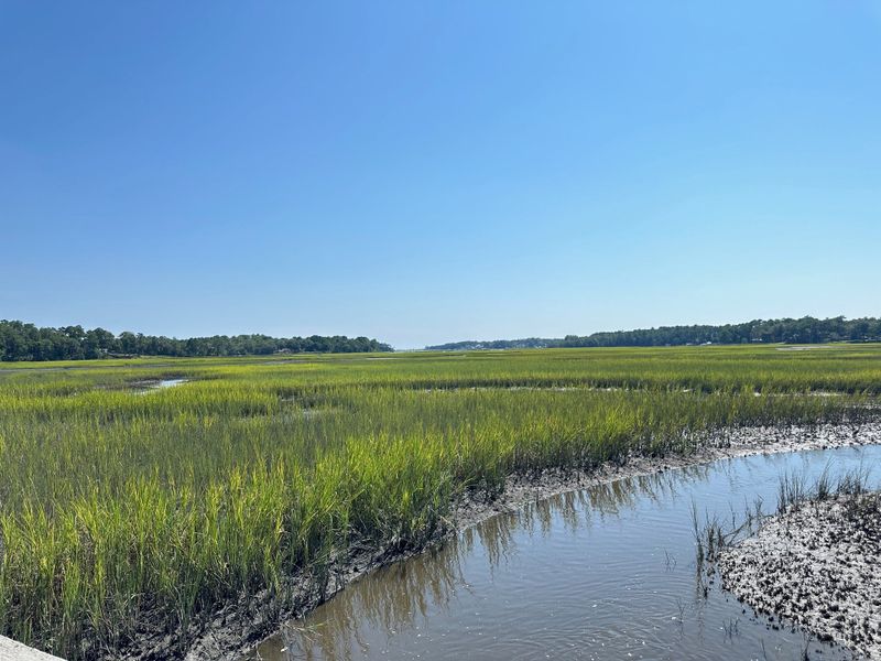 Natural landscape and outdoor views near River Hills in Shallotte (Image 18).