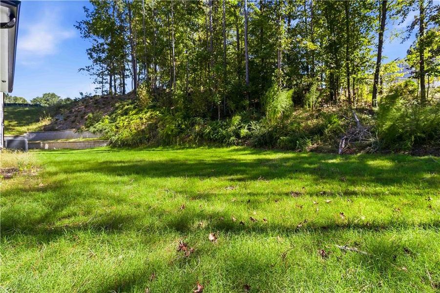 Natural landscape and outdoor views near in Covington (Image 28). Natural landscape and outdoor views near in Covington (Image 28).