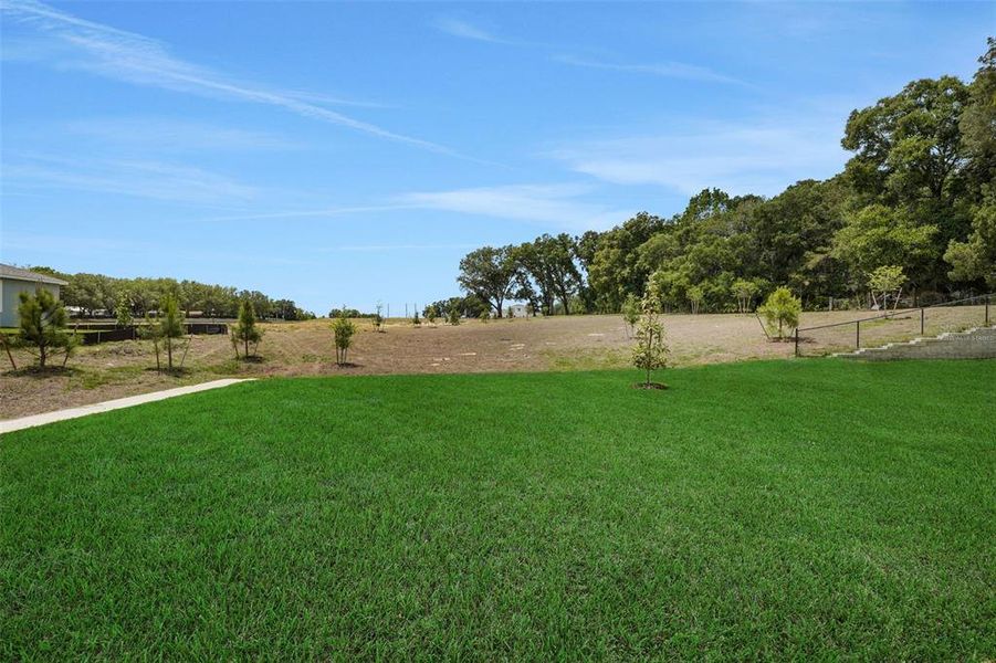 Natural landscape and outdoor views near Tuscan Hills in Dade City (Image 45).