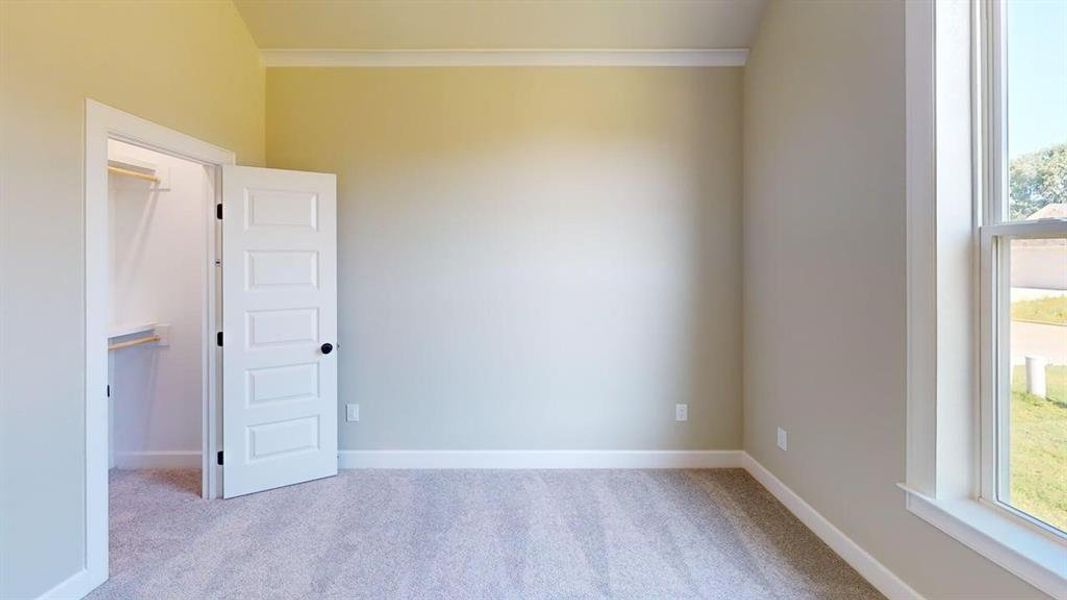 Empty room with crown molding, carpet, plenty of natural light, and baseboards