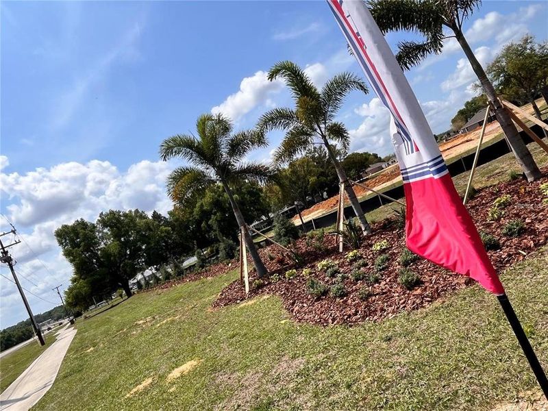 Community amenities in Hill Country Estates, Dade City (Image 4).