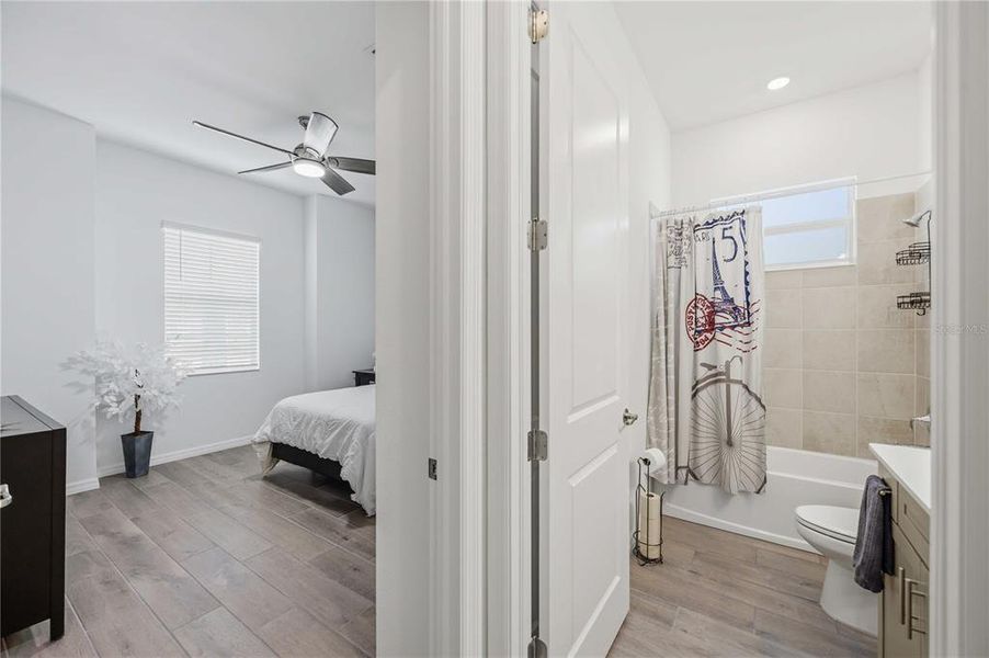 Furnished interior view inside a new home in , Venice (Image 10).