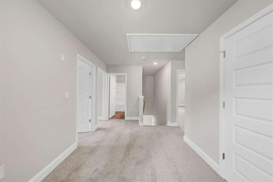 Spacious, unfurnished interior of a new home in Scarlett Place, Bowdon (Image 28).