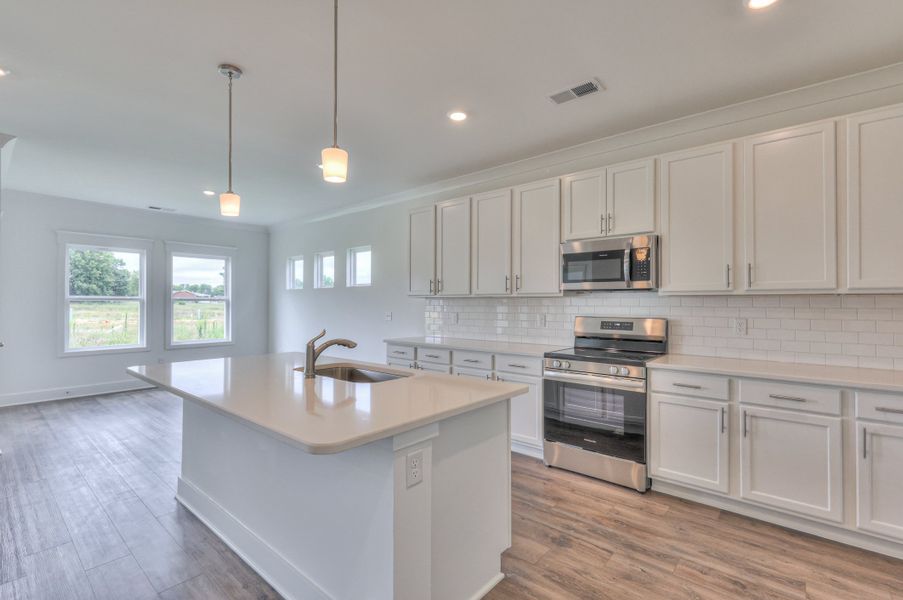 *Photo of Cleveland Plan. Design Features may vary per community.