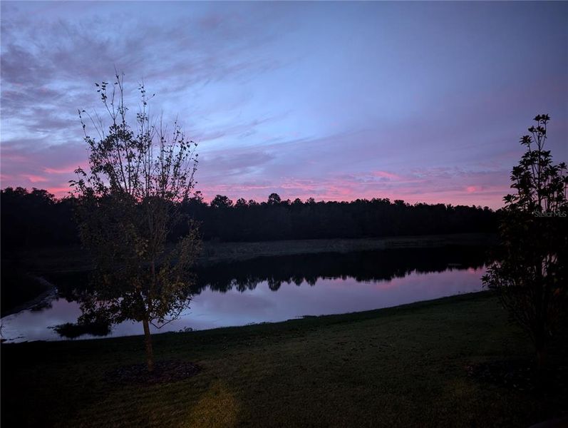 Natural landscape and outdoor views near  in Brooksville (Image 15).