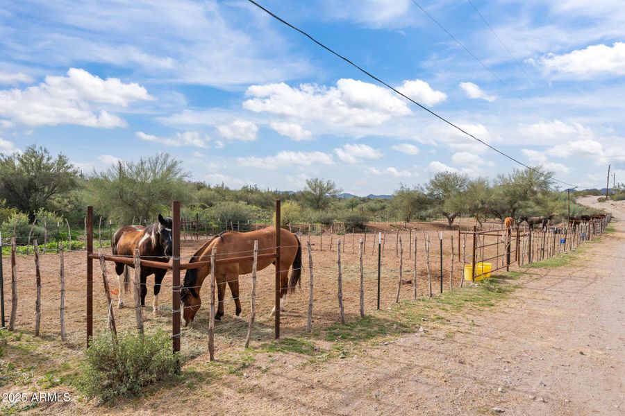 29-web-or-mls-DSC06592