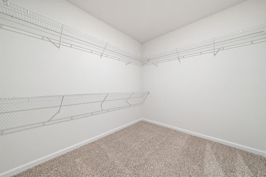 Walk in closet with carpet