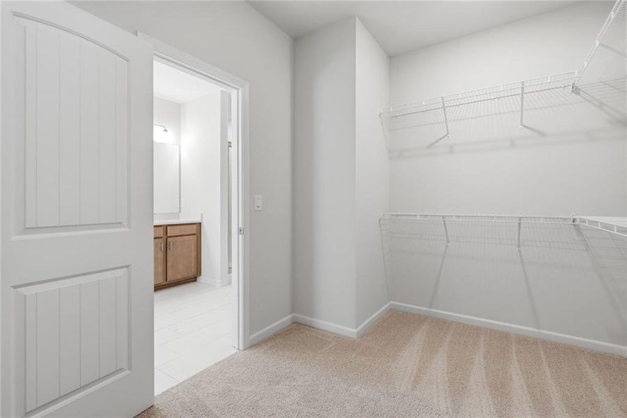 Spacious, unfurnished interior of a new home in , Demorest (Image 17).