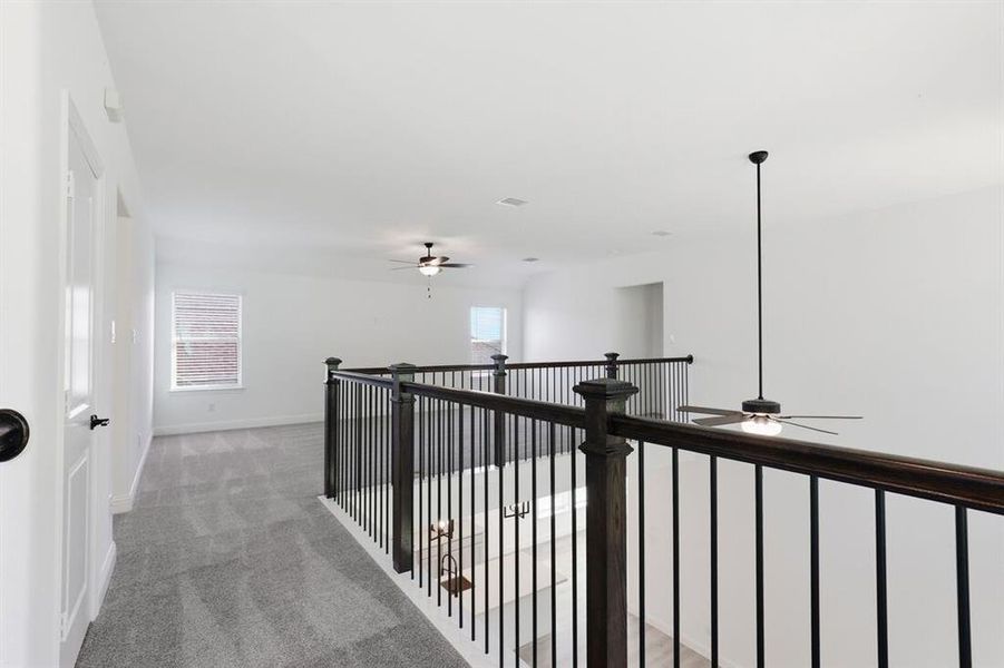 1508 Canter ~ Ready Now