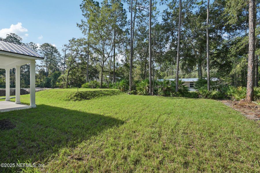 Natural landscape and outdoor views near  in Palatka (Image 30).