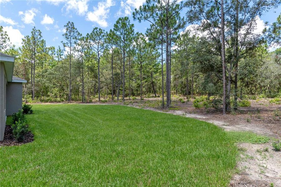 Image 48 of a home in Pine Ridge Estates.