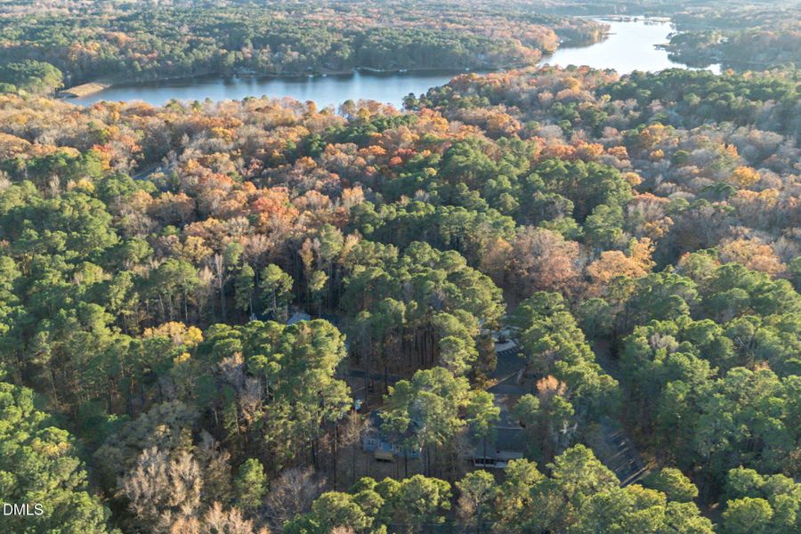 37-web-or-mls-DJI_0176