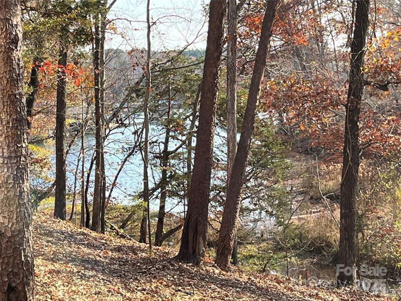 Natural landscape and outdoor views near  in York (Image 29).