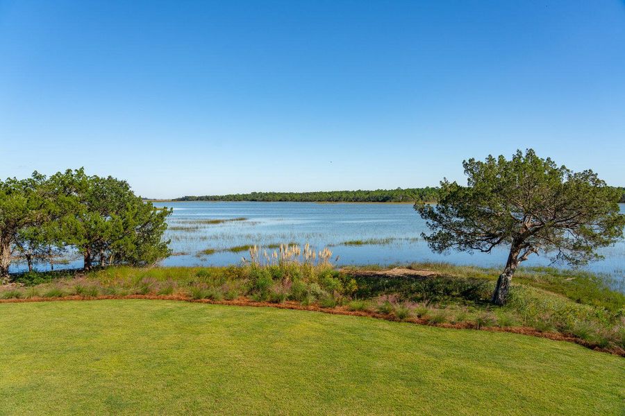 Natural landscape and outdoor views near  in Charleston (Image 95).