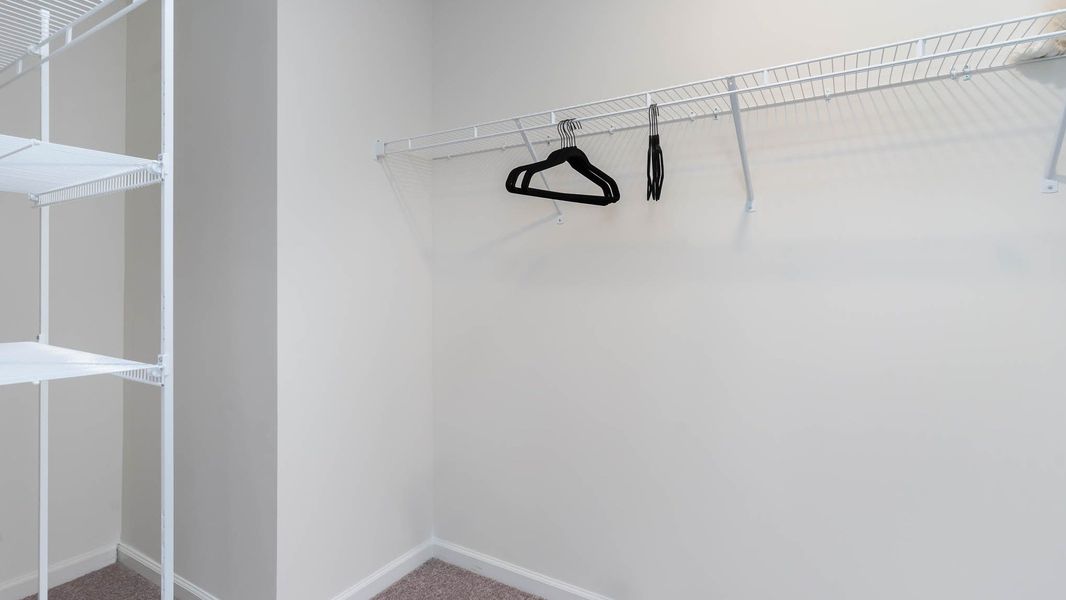 Spacious, unfurnished interior of a new home in Elmhurst Place, Conway (Image 15).
