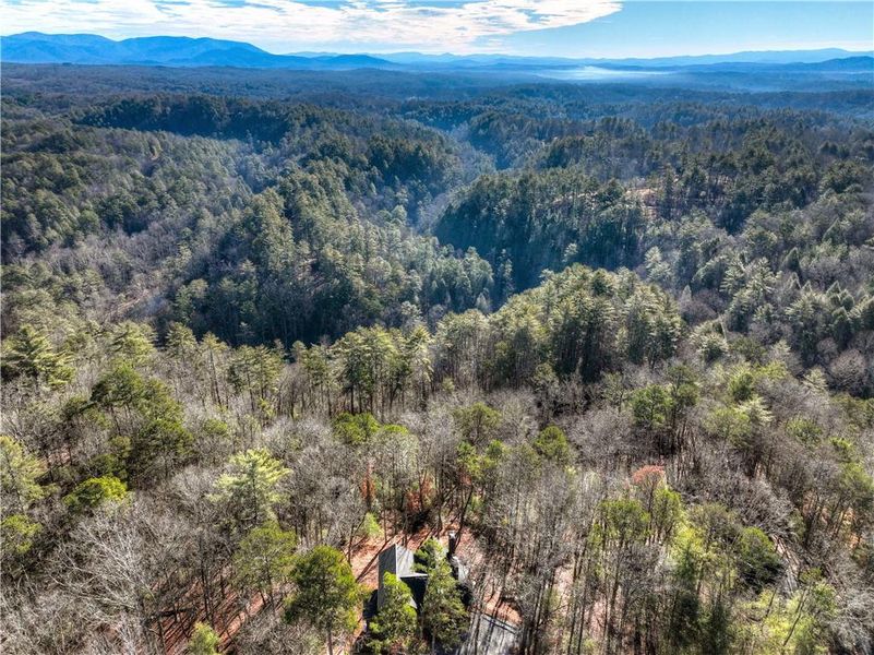 Natural landscape and outdoor views near  in Ellijay (Image 45).