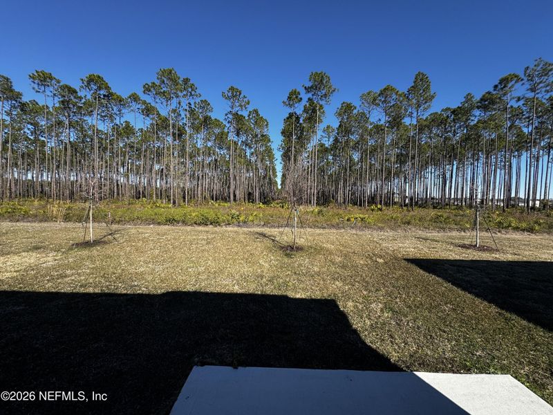 Natural landscape and outdoor views near Copes Landing in Jacksonville (Image 36).