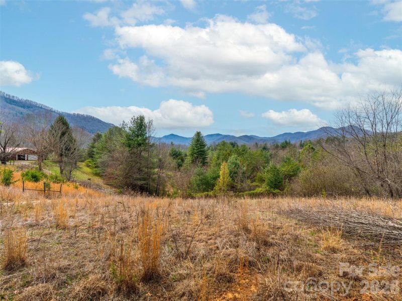 Natural landscape and outdoor views near  in Leicester (Image 4).