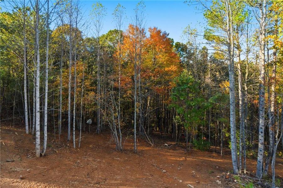 Natural landscape and outdoor views near  in Jasper (Image 35).