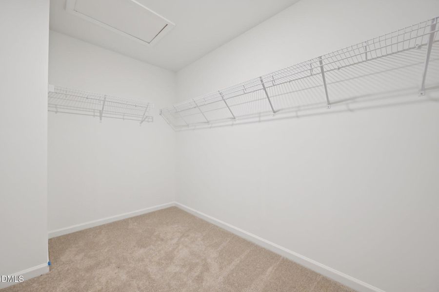 33-web-or-mls-Salers Loop-S1902-033