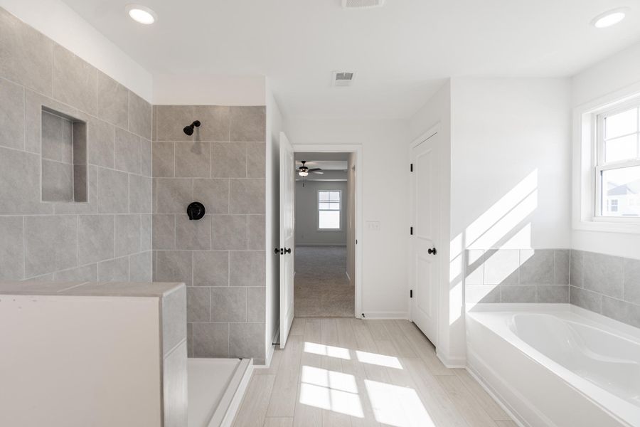 _DSC5256-HDR _DSC5256-HDR