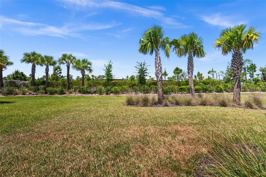 Natural landscape and outdoor views near  in Punta Gorda (Image 44).
