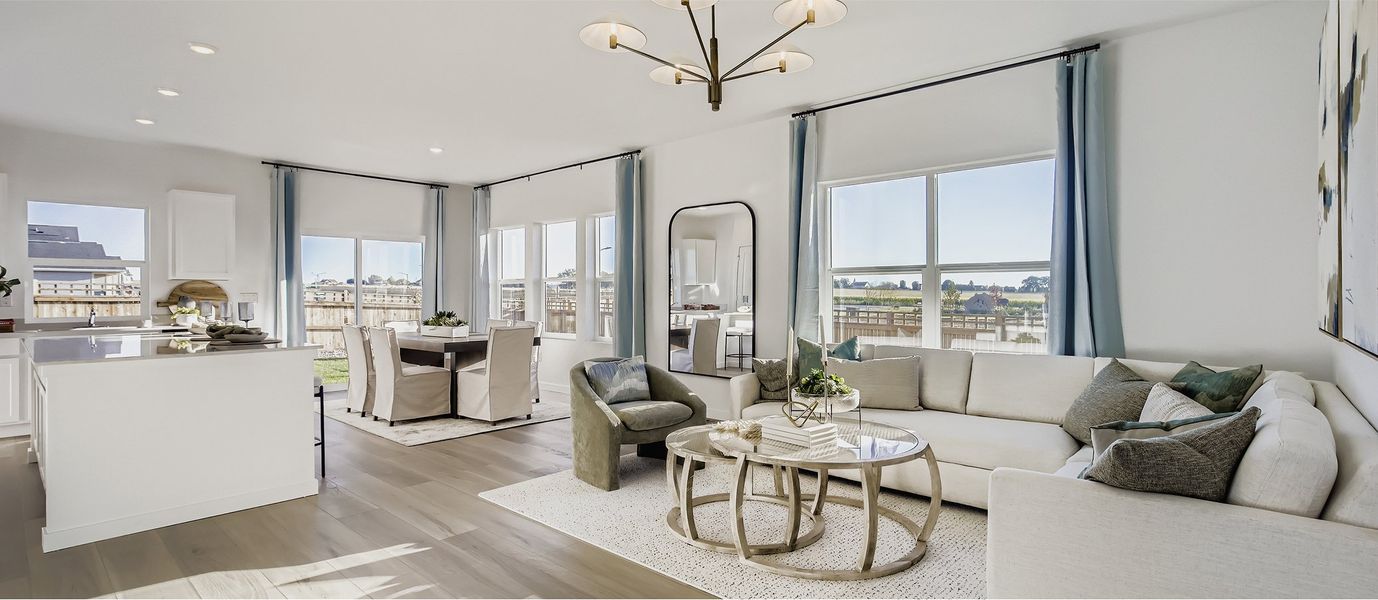 3504 Orchid Great F1 1of2