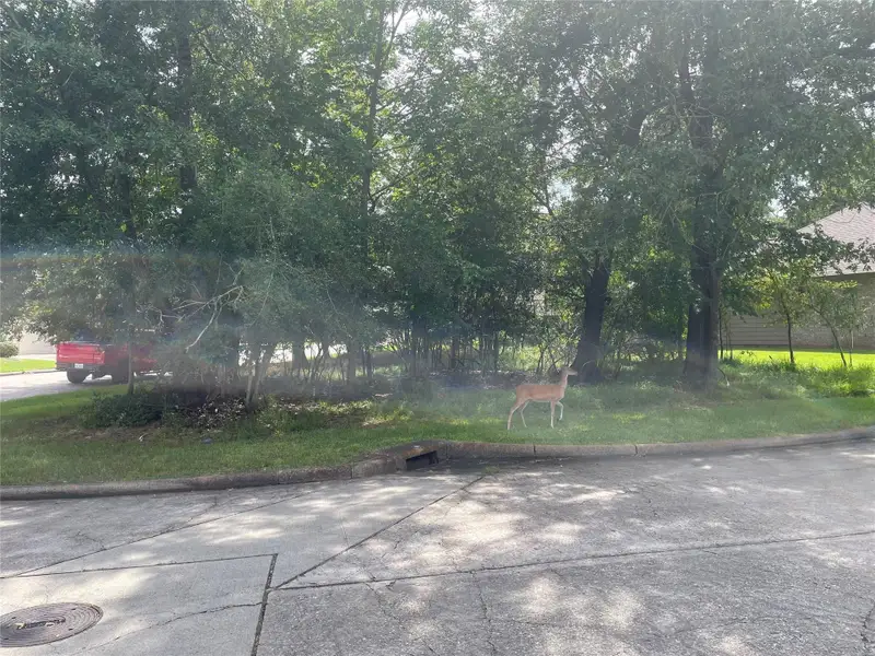 Image 27 of a home in Lake Conroe Area Homes.