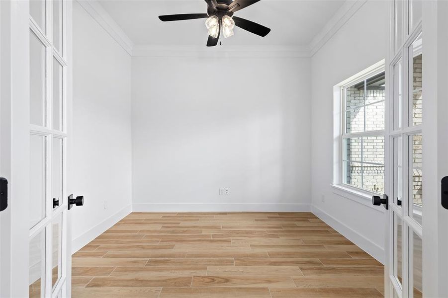 Unfurnished room with ceiling fan, light wood-type flooring, plenty of natural light, and crown molding