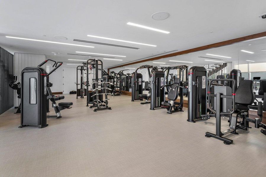 Gym Gym